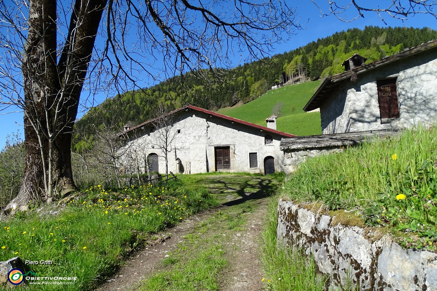 18 Colle Palazzo (1265 m).JPG